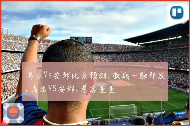 鸟法Vs安郅比分预测,激战一触即发,鸟法VS安郅,悬念重重