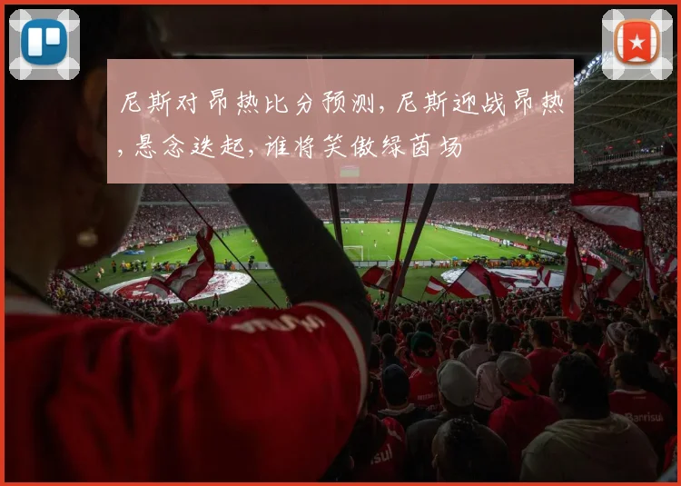 尼斯对昂热比分预测,尼斯迎战昂热,悬念迭起,谁将笑傲绿茵场